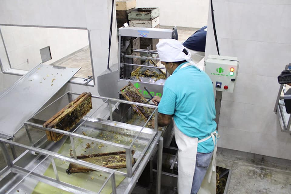 Trabajo de la nueva planta de extracción de miel recientemente inaugurada en Charata.